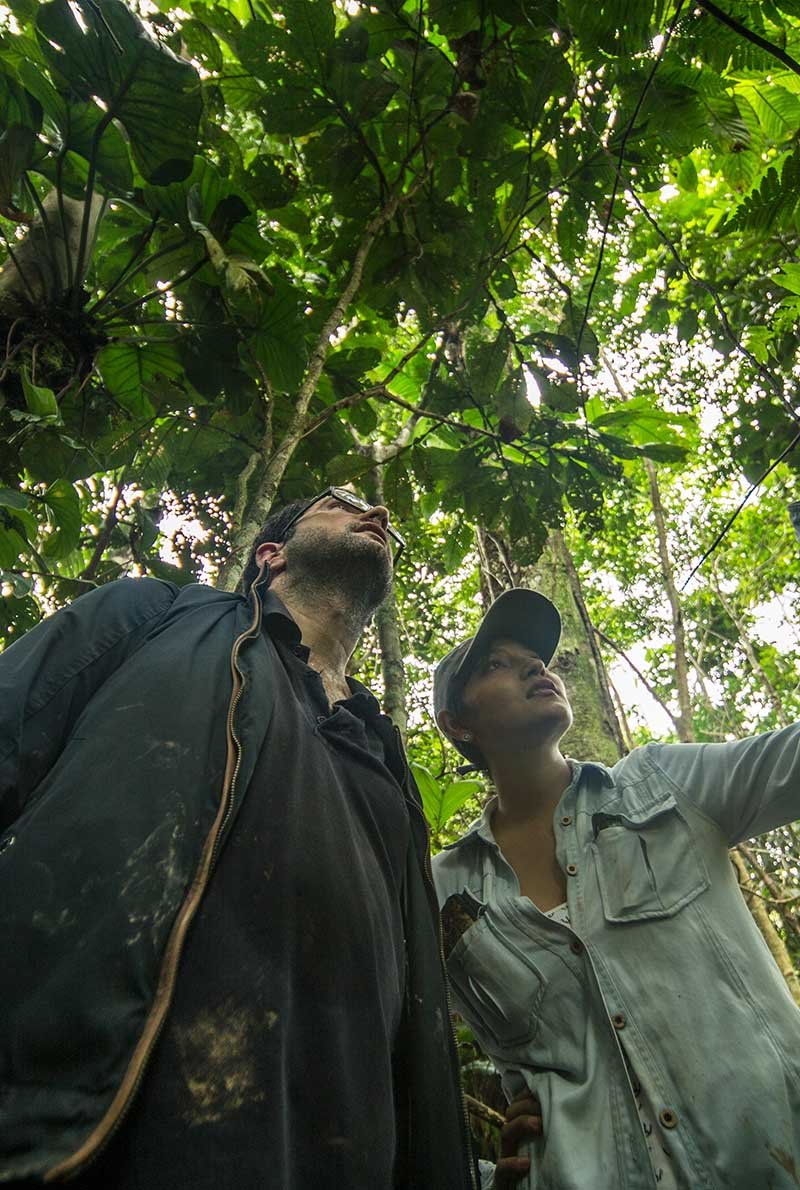 Aventuras en la selva