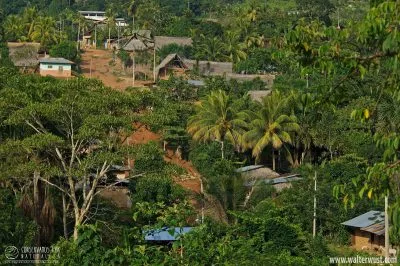 Toroyacu-1