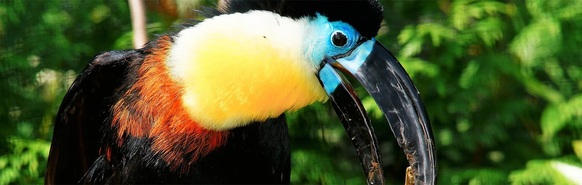 tarapoto-tropical-frontal