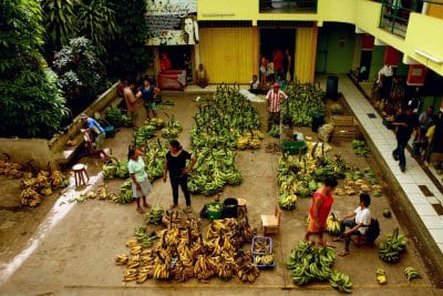 tour-tarapoto-sabores-dia (6)