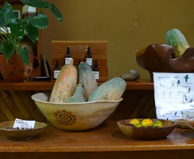 Cacao amazónico y frutos locales en mesa de insumos — tour gastronómico Tarapoto