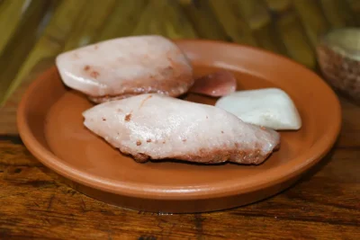 Sal amazónica en piezas sobre plato de barro — tour gastronómico Tarapoto
