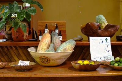 Cacao amazónico y frutos locales en mesa de insumos — tour gastronómico Tarapoto